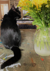 I need your photos again - this time cats with bouquets/vases of flowers please