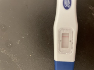 Ovulation post miscarriage