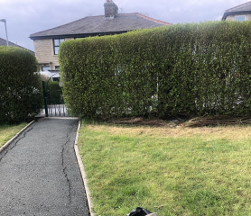 This is my new front garden 