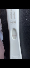 TTC 13DPO