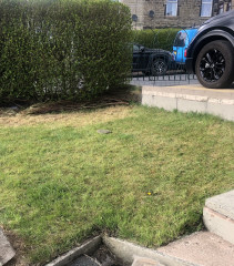 This is my new front garden 