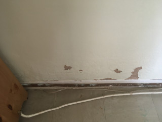 PigletJohn are you there?! Damp? on internal wall of bungalow