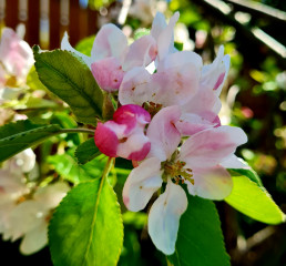 Pictures to cheer people up 😃