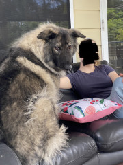 Does parking on a closed road count as a live parking thread? 😁