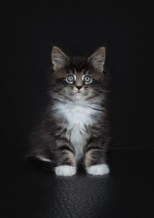 Cancer support thread #82