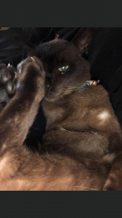 Goodbye my baby boy