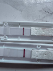 Help/Advice Needed - Pregnancy Test