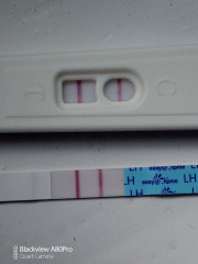 TTC and covid positive