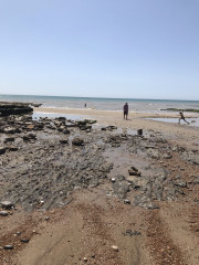 Do you have a favourite stretch of coastline in the UK ?
