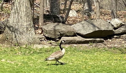 Come and tell me your dull and unexciting news 22: Calmly through the day