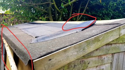 Shall I repair the roof or replace the whole shed?
