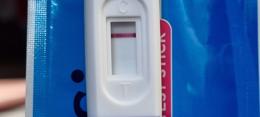 Day 2 of a faint line