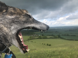 Does parking on a closed road count as a live parking thread? 😁