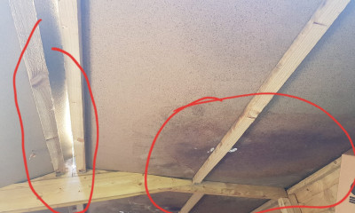 Shall I repair the roof or replace the whole shed?
