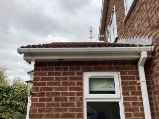 Rising damp or condensation?
