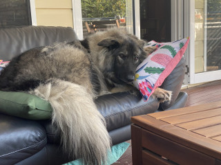 Does parking on a closed road count as a live parking thread? 😁