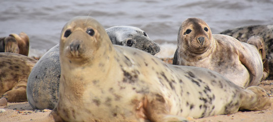 Do you have a favourite stretch of coastline in the UK ?