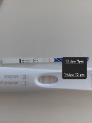 Chemical pregnancy or implantation bleeding? 