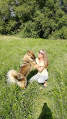 What other owners say  good and bad about your dog