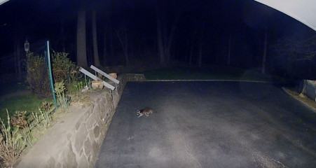 Come and tell me your dull and unexciting news 22: Calmly through the day