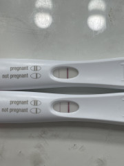 What did your lines look like 12dpo?