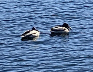 Come and tell me your dull and unexciting news 22: Calmly through the day