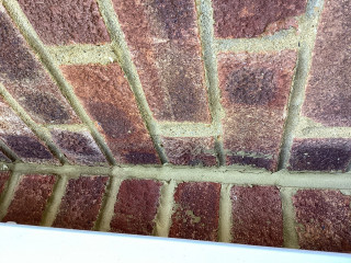 Rising damp or condensation?