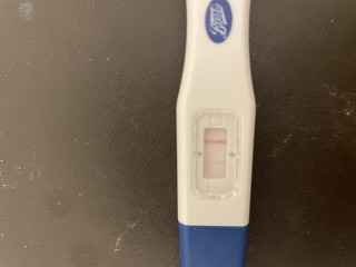 Ovulation post miscarriage