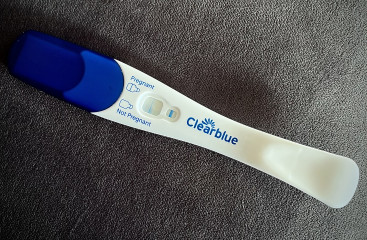 Pregnancy test