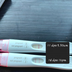 Chemical pregnancy or implantation bleeding? 