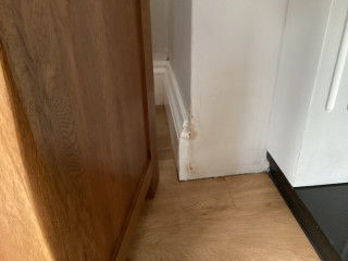 Rising damp or condensation?