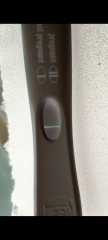 TTC 13DPO