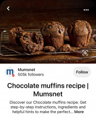 HELP - Mumsnet Chocolate Muffin Recipe