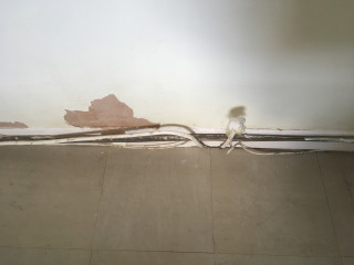 PigletJohn are you there?! Damp? on internal wall of bungalow