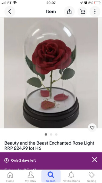 Autistic DD's unusual favourite ornament broken - help!!