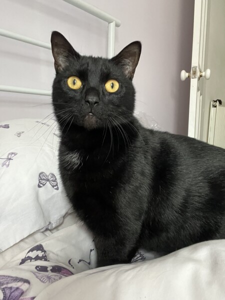 The void has spotted something.