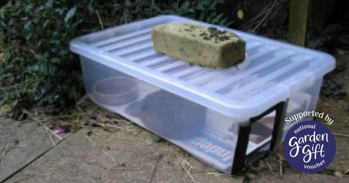 To ask you to please help hedgehogs and other wildlife prepare for winter