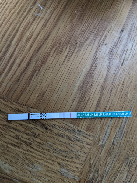 TTC APRIL/MAY THREAD 2