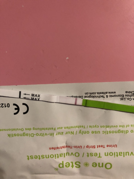 Trying for baby #2!