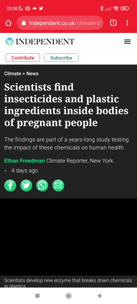 Plastic in pregnant people