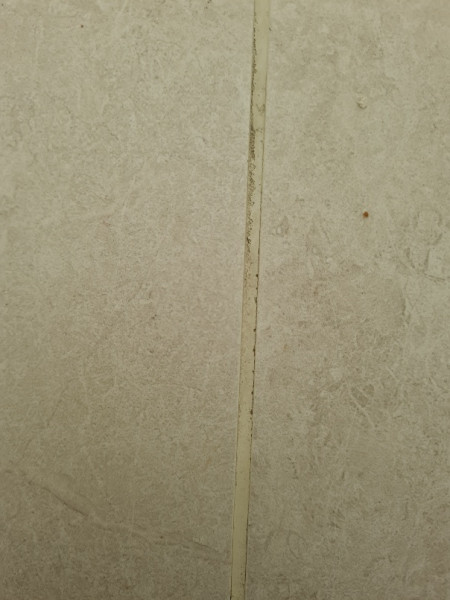Problem with grout?