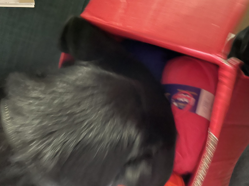 Knit, Crochet and Natter 8: Keep Calm and Carry Yarn!