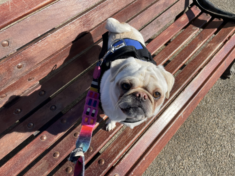 Cancer support thread #82