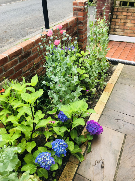 Made over my front garden! (Pic)
