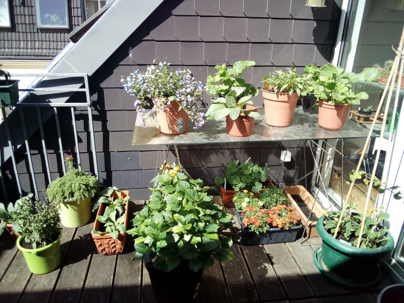 Come and tell me your dull and unexciting news 22: Calmly through the day