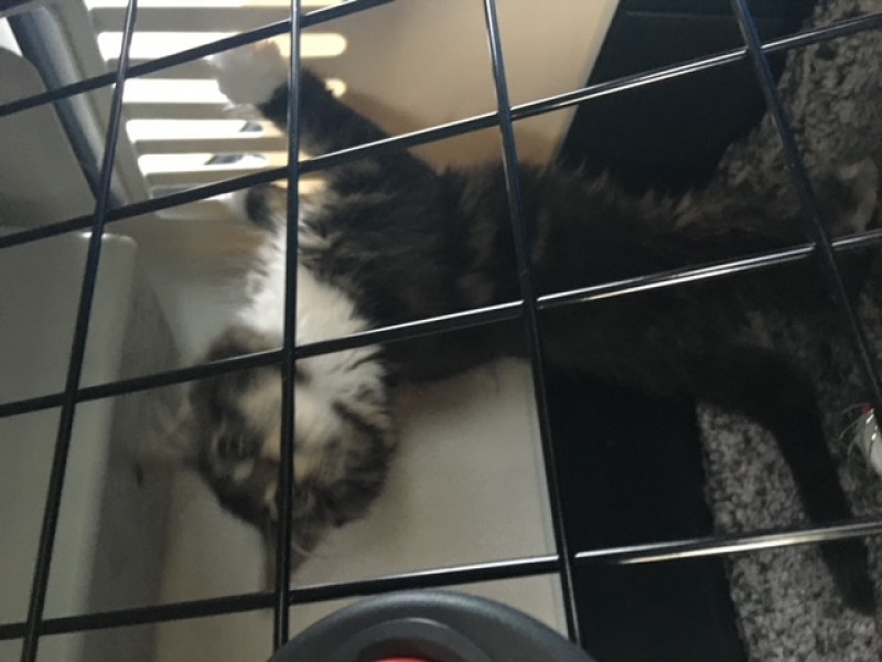 Come and tell me your dull and unexciting news 22: Calmly through the day