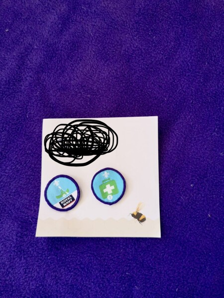 Scouting badge ID help please