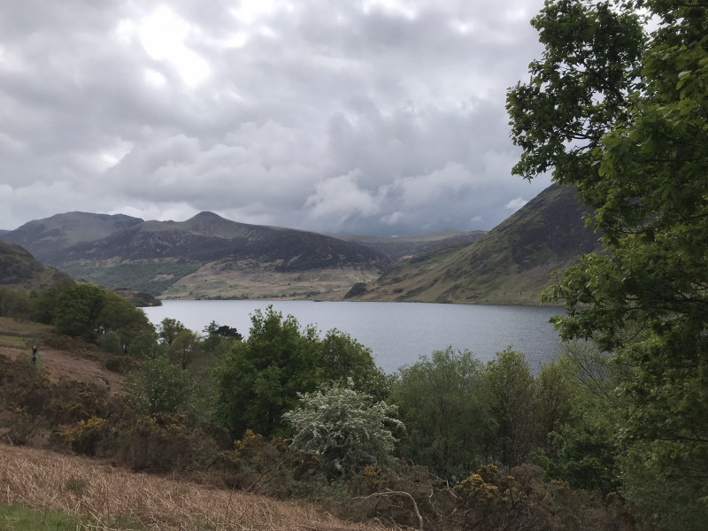 Come chat hiking with me!