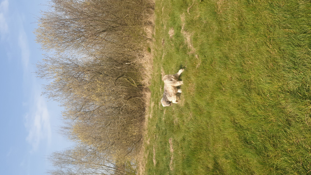 Come chat hiking with me!