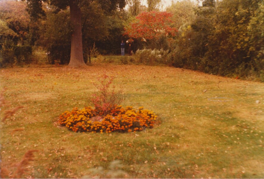 Can anyone identify this 1970s rhododendron?